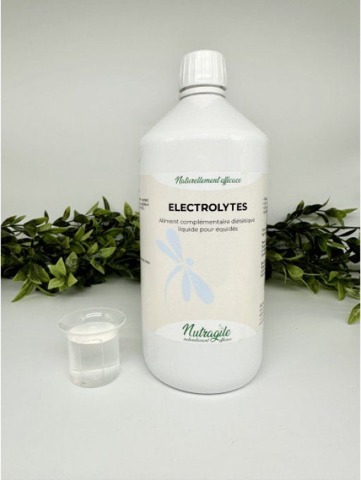 Electrolytes Liquide