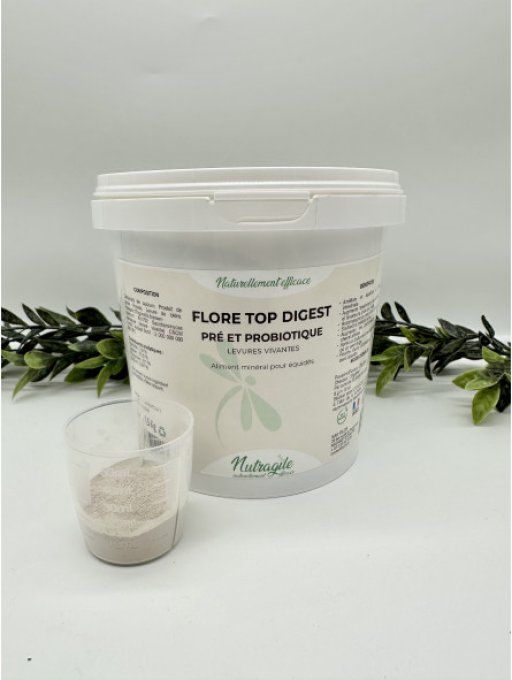 Flore Top Digest