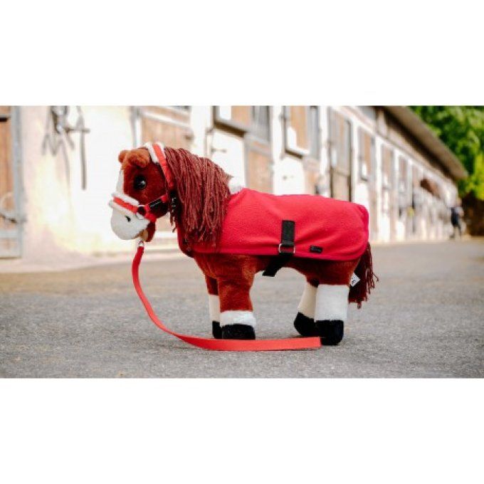 Mini-poney Jumpy - PONY ACADEMY