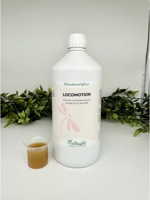 Locomotion Liquide