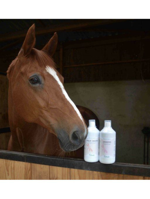 Locomotion Liquide