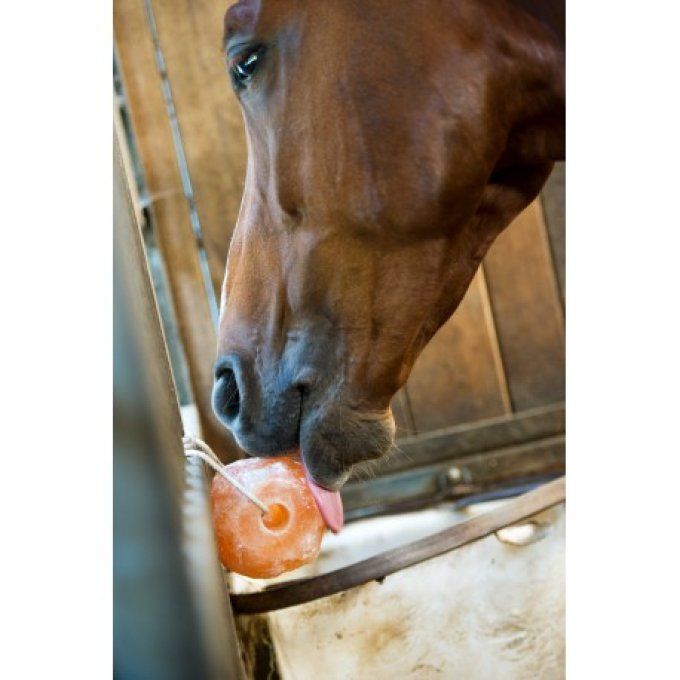 Pierre à sel HIPPOTONIC de l'Himalaya