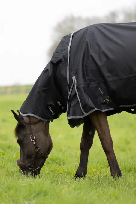 Muze Couvre cou imperméable 200G