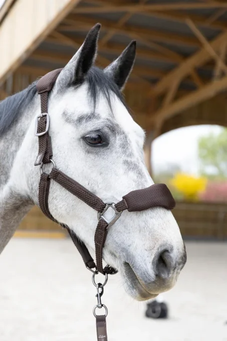 Set Licol et longe Dorai ergonomique en mesh