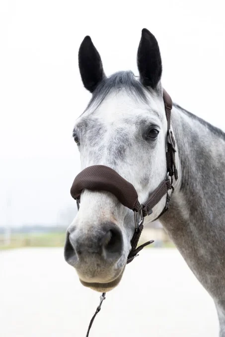 Set Licol et longe Dorai ergonomique en mesh