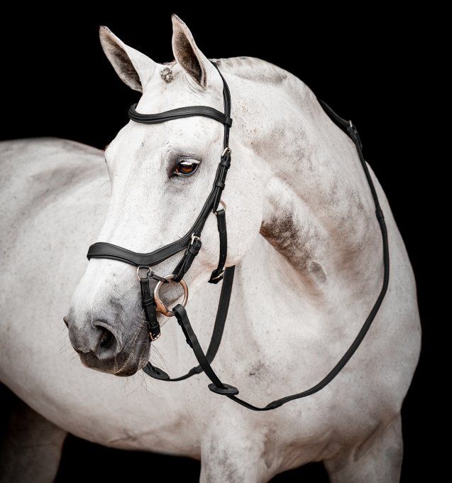 Horseware Micklem 2 Competition Bridle