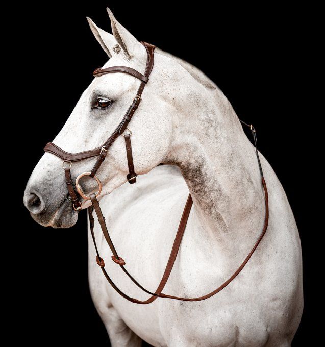 Horseware Micklem 2 Competition Bridle