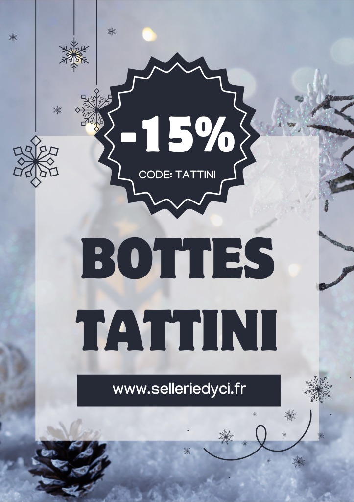 SOLDES TATTINI